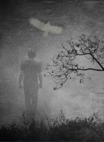 Мы мечемся от поисков с рождения